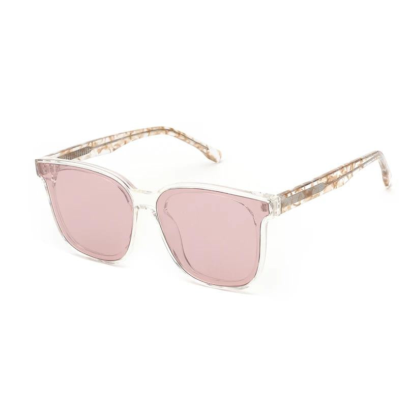 Classic Square Sunglasses | Iris