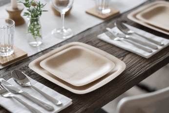 Earth's Natural Alternative Disposable Bamboo Dinner Plate for 100