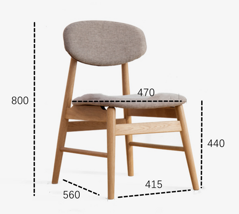 Isla Modern Dining Chair (set of 2)