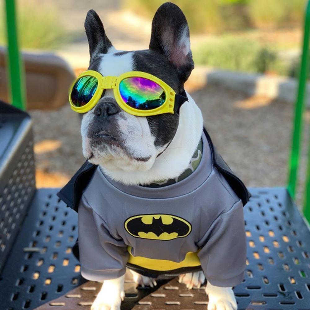 Dog Batman Costumes for Medium Dogs Pugs- Frenchiely