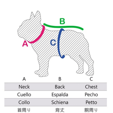 Frenchiely French Bulldog Size Chart