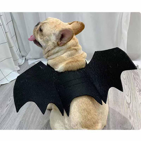 French Bulldog Bat Wing Halloween Costume