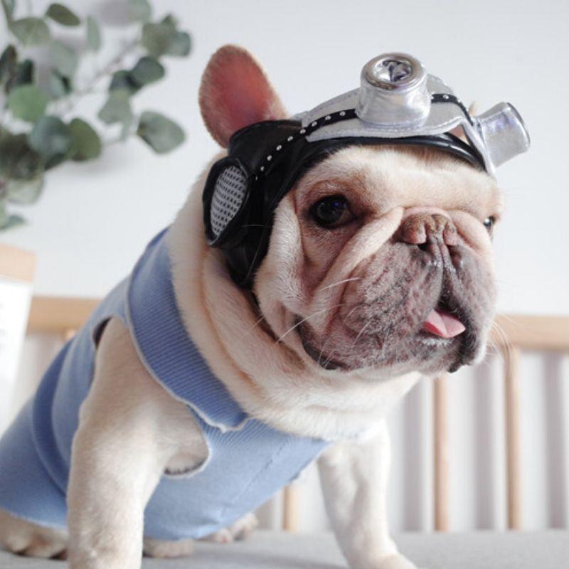 Dog Retro Pilot Costume Cap for Medium Dogs