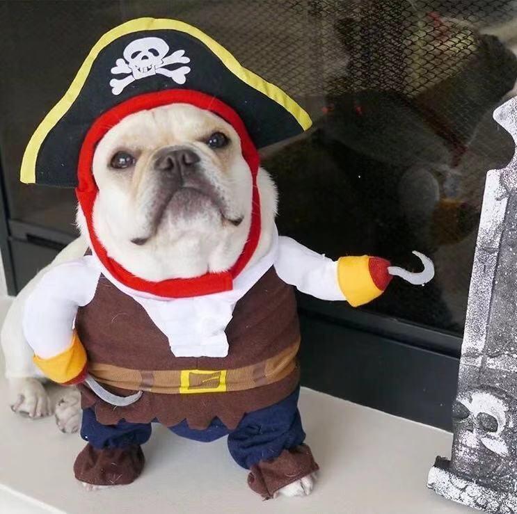 French Bulldog Pirate Costume- Frenchiely