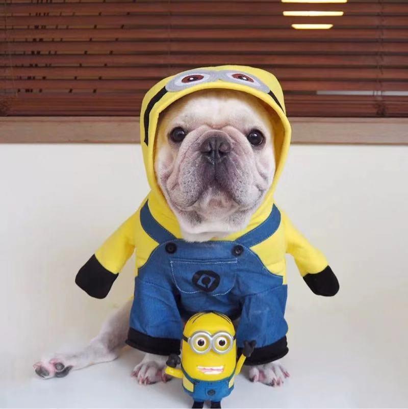 Dog Yellow Minions Costumes