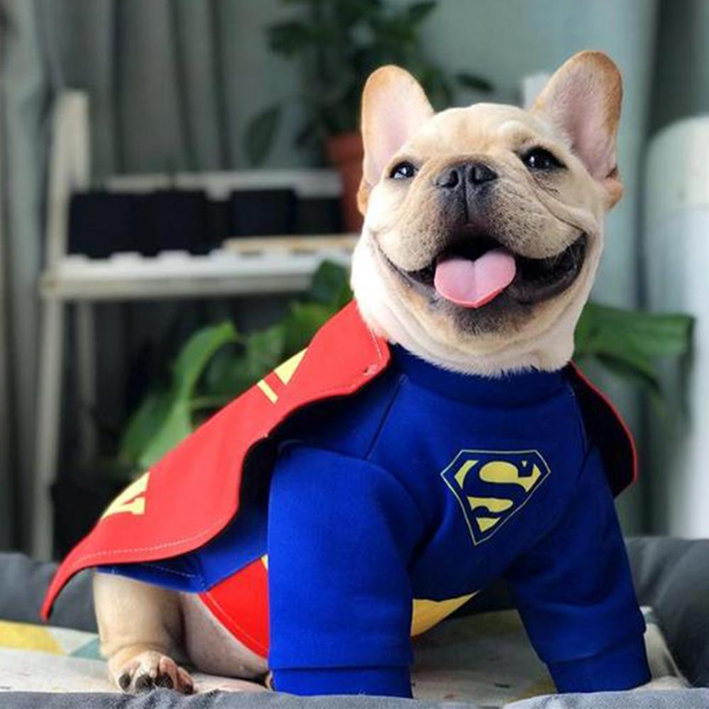 French Bulldog Superman Dog Cosplay Costumes