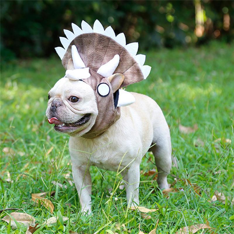 Dog Halloween Dinosaur Costume for French Bulldog