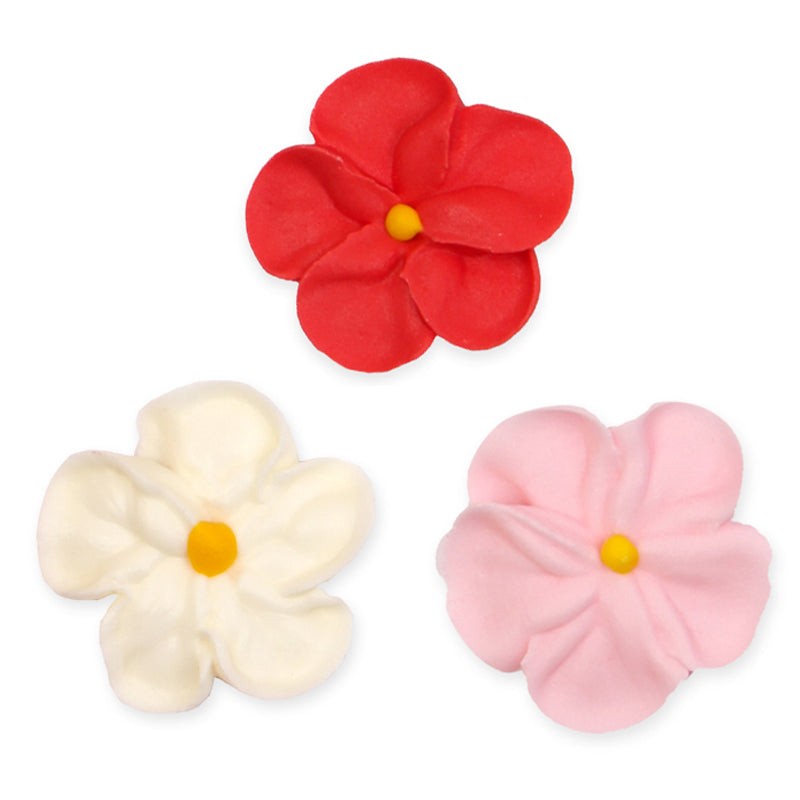 Forget Me Not Flowers Retail Pack - Assorted Colors