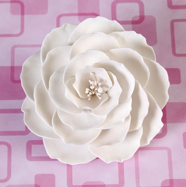  Large Briar Roses - White 