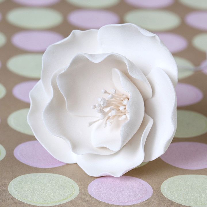  Small Briar Roses - White 