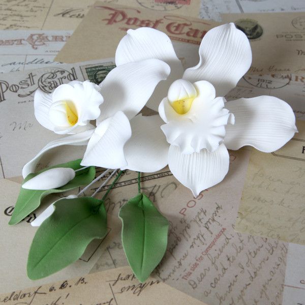  White Cymbidium Orchid Sprays 