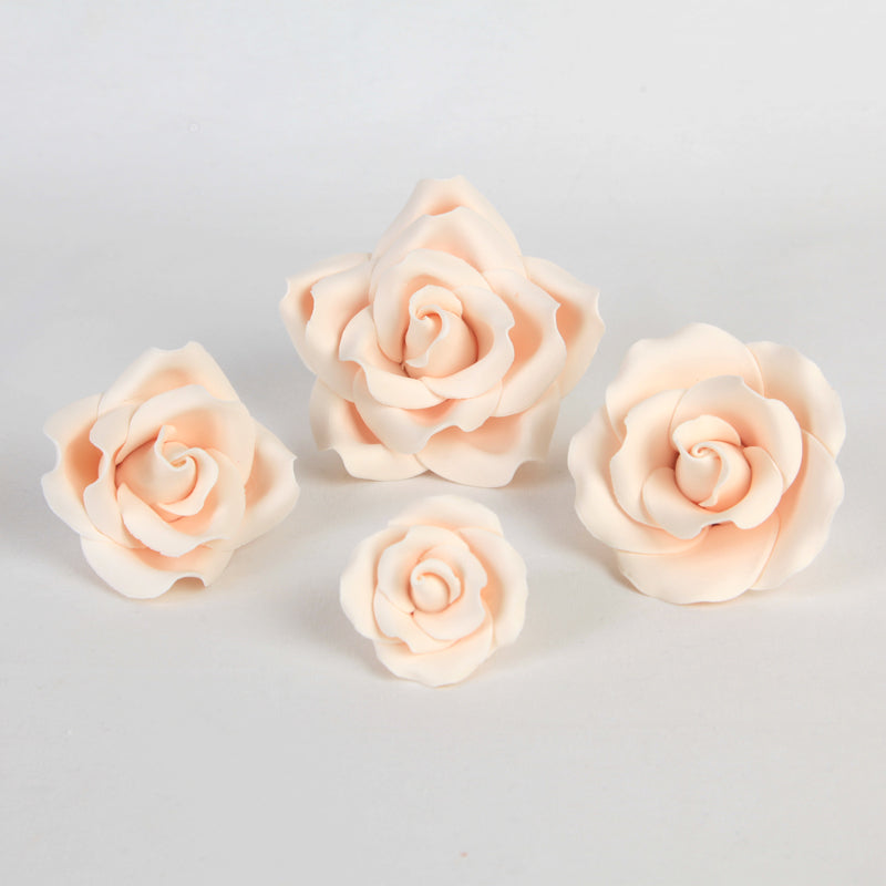  English Garden Roses Mixed Size - Ivory 