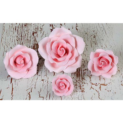  English Garden Roses Mixed Size - Pink 