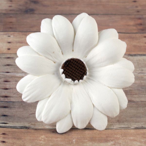  Gerbera Daisies - White 