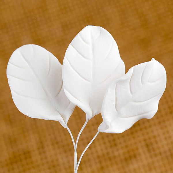  Rose Leaf - White 