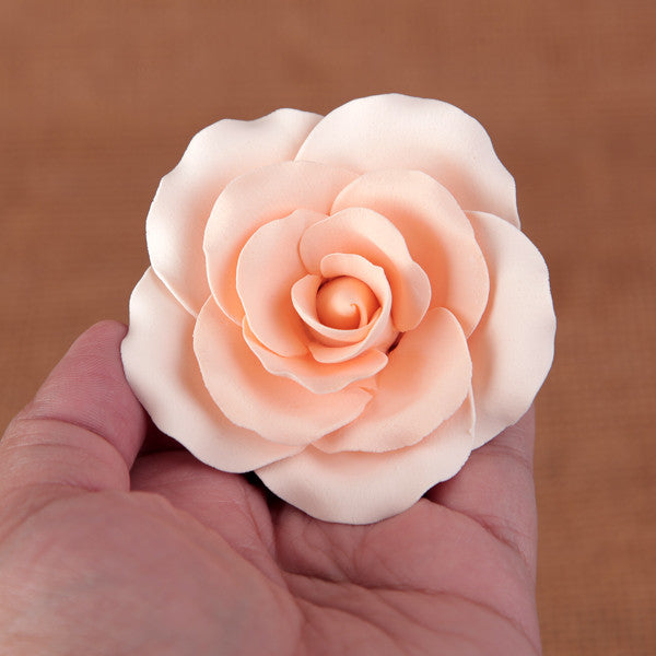  Garden Roses - Peach 