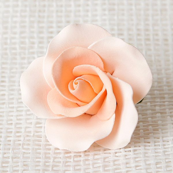  Large Tea Roses - Peach 