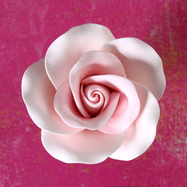  Large Tea Roses - Pink 