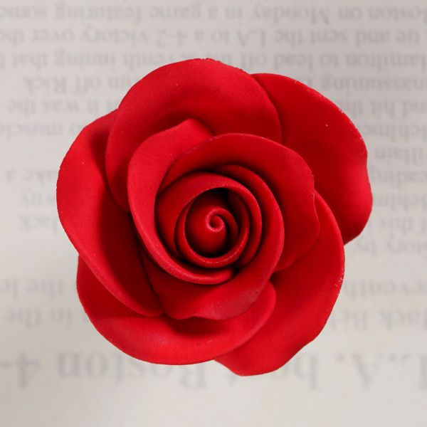  Medium Tea Roses - Red 