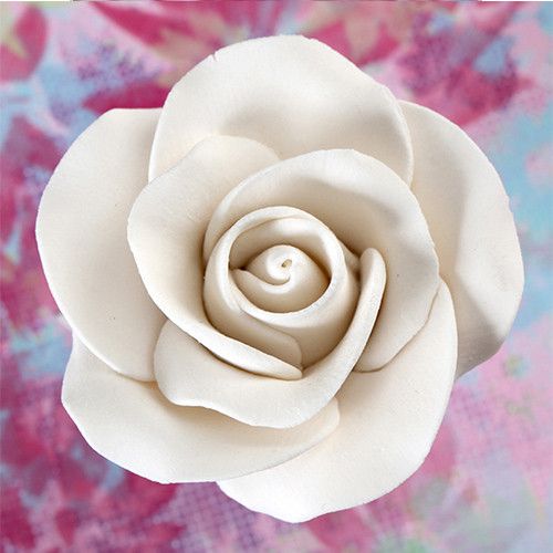  Medium Tea Roses - White 