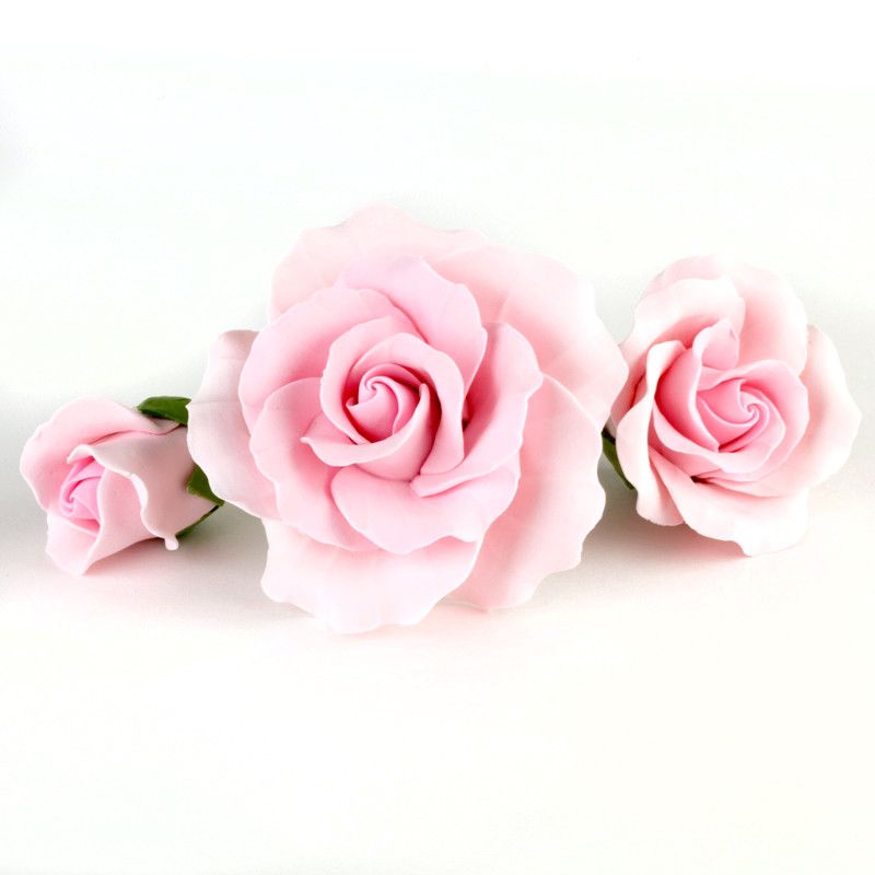  Assorted Size Garden Roses - Pink 