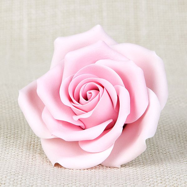  Chantilly Rose - Pink 