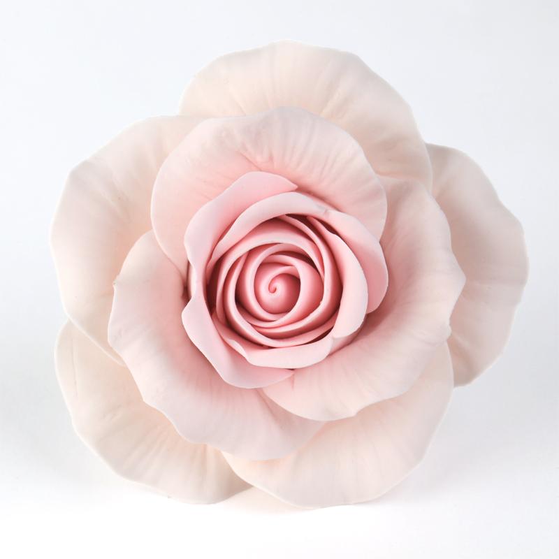  Meghan's Rose - Pink 