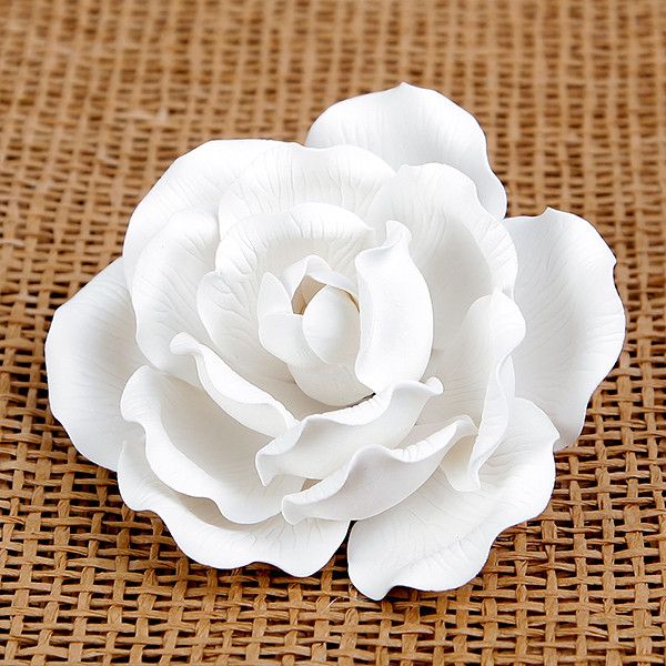  Large Full Bloom Roses - White 