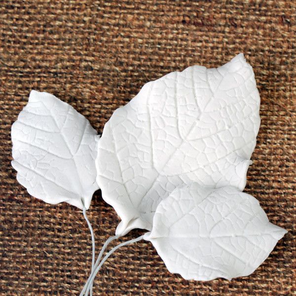  Rose Leaves - White 