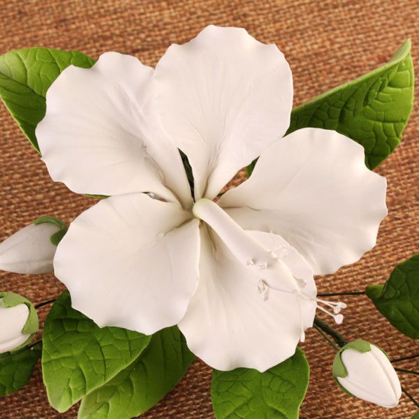  Single Open Hibiscus Spray - White 