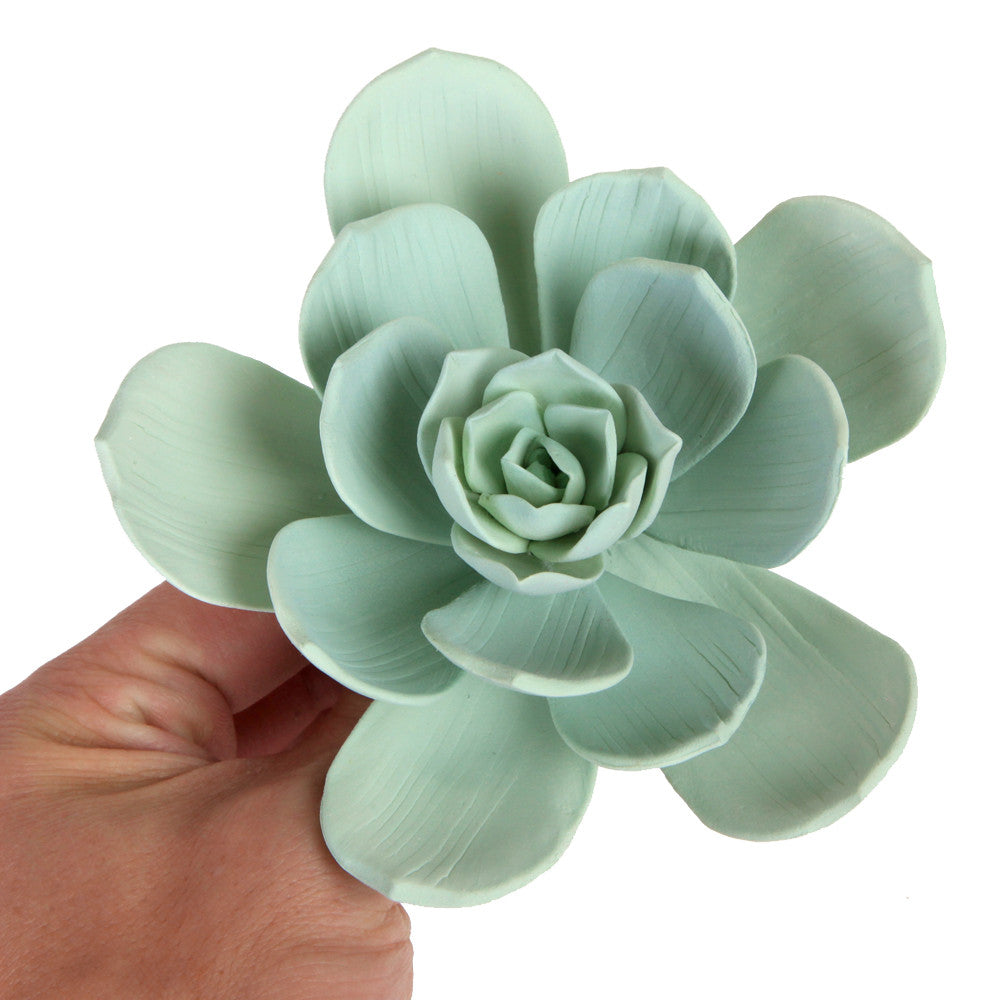  Wild Desert Flower Succulent - Green 