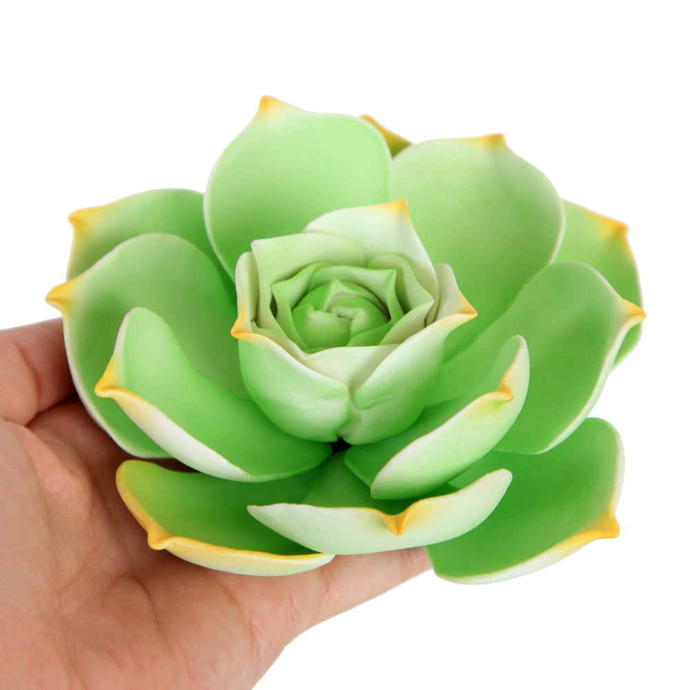  King Succulent - Light Green 