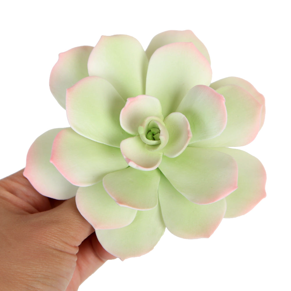  Starburst Succulent - Light Green 