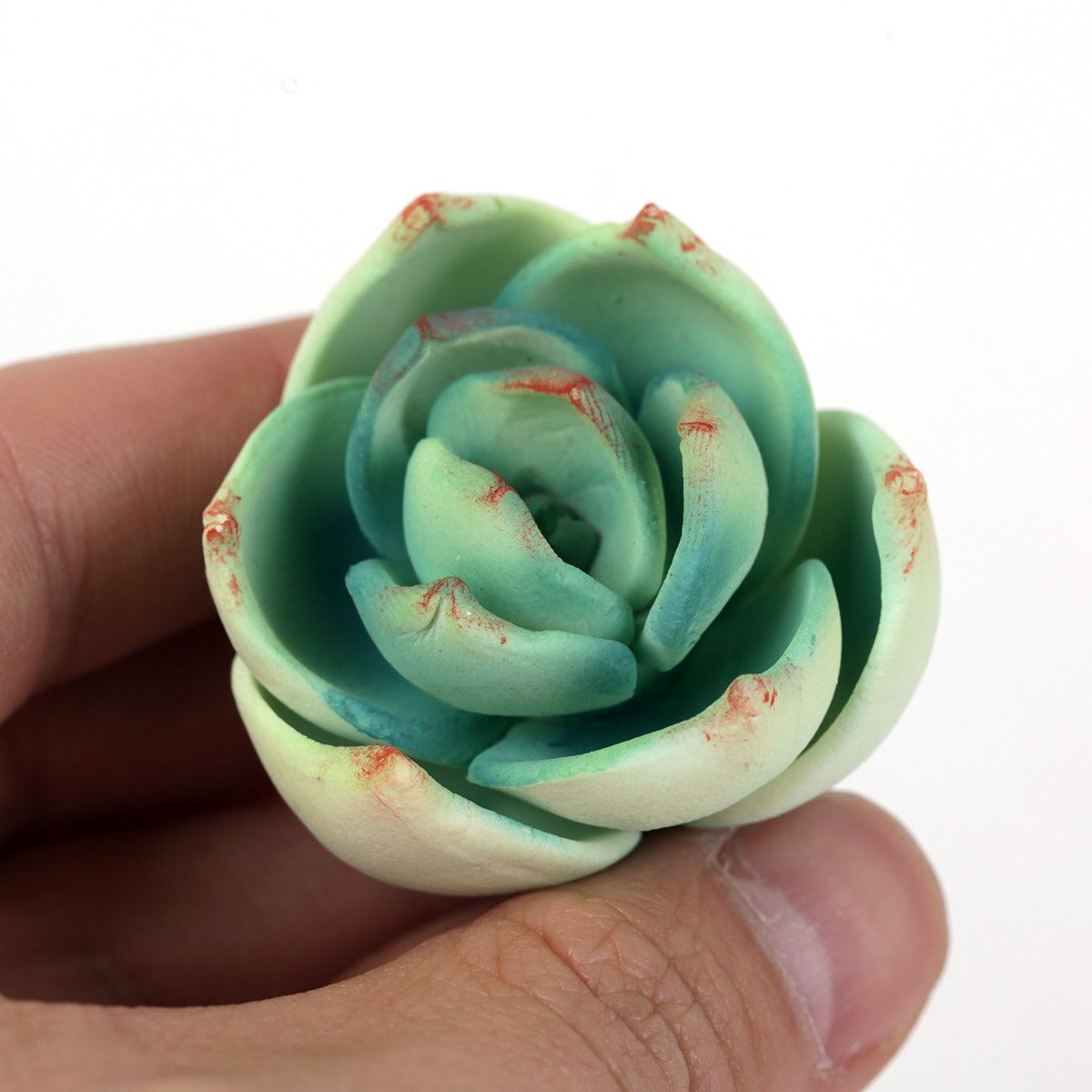  Extra Small Succulent - Green 