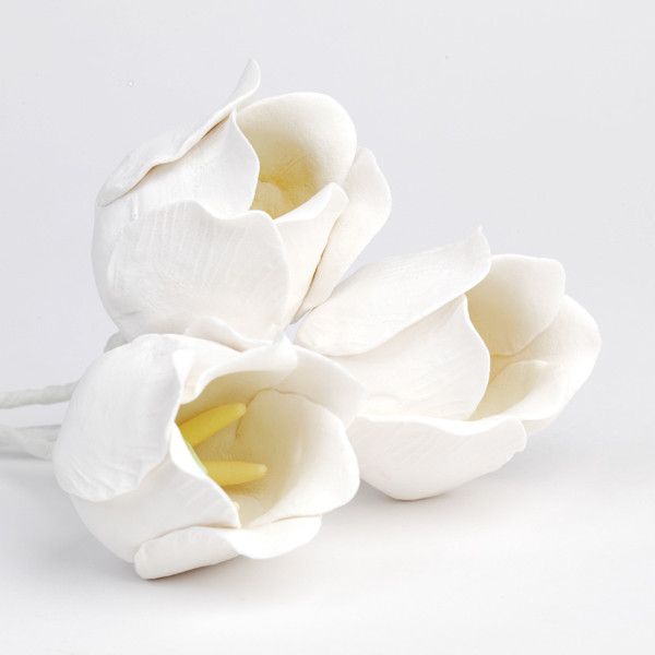  Single Medium Tulips - White 