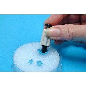  Blossom Forget-Me-Not Plunger Cutter 