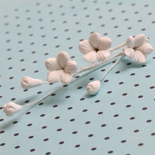  Stephanotis Fillers - White 