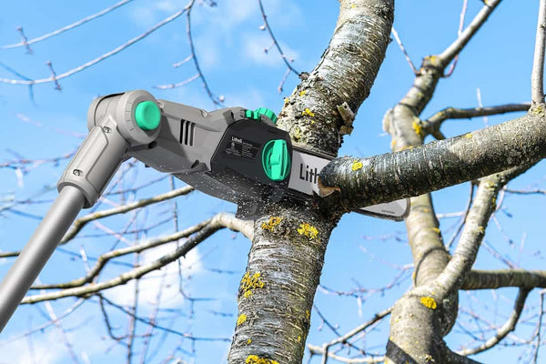 Litheli Cordless Pole Saw,10-Inch 40V Saws for Tree Trimming, Battery Saw Branch Cutting