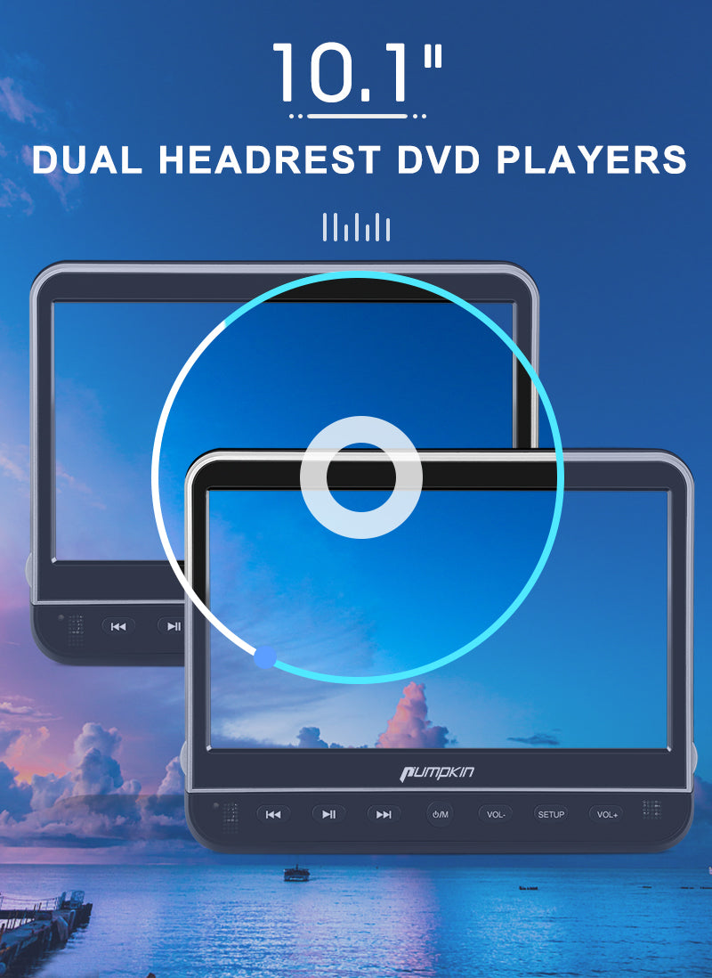 Region Free Headrest DVD player
