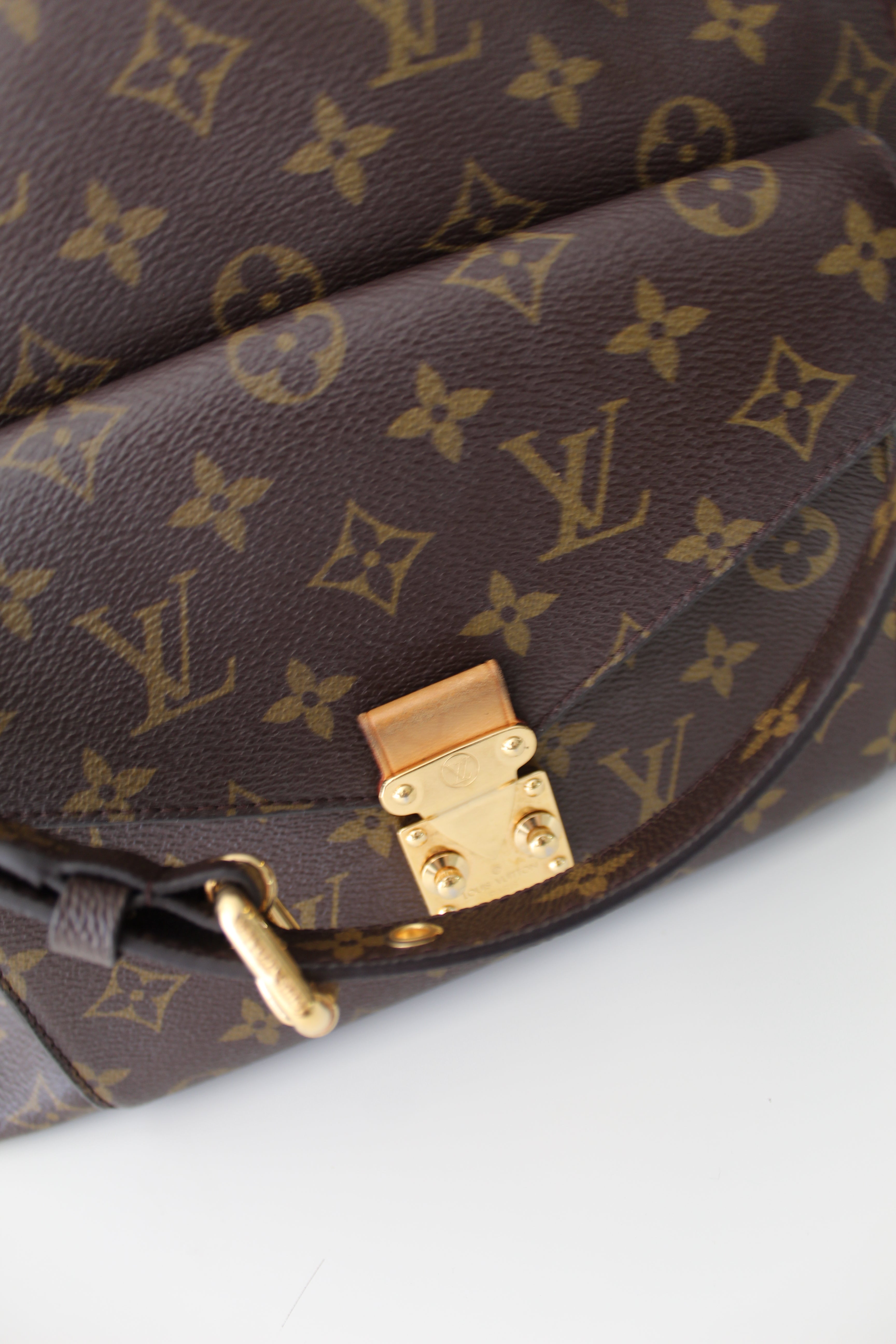 Louis Vuitton Metis Hobo