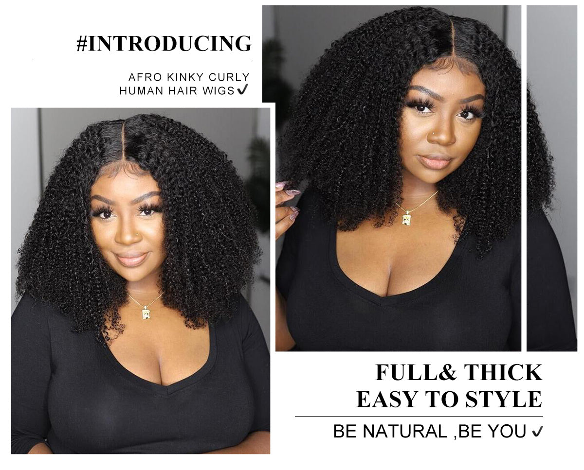Afro Kinky Curly Lace Front Human Hair Wigs Pre plucked Lace Frontal wigs