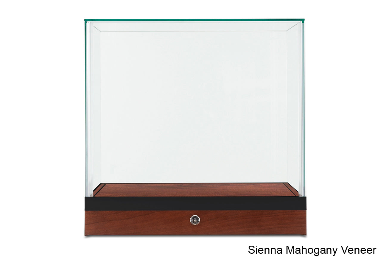 Compact Countertop Museum Display Case 16