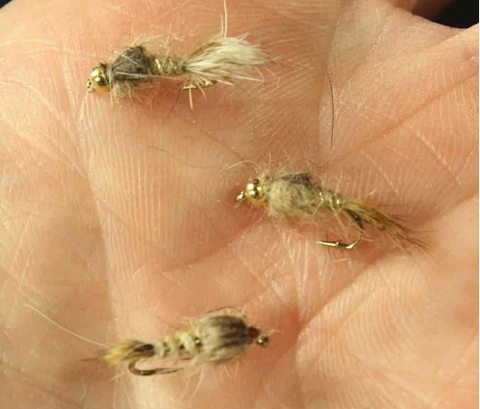 5 Favorite Fly Patterns for Lakes – Kylebooker