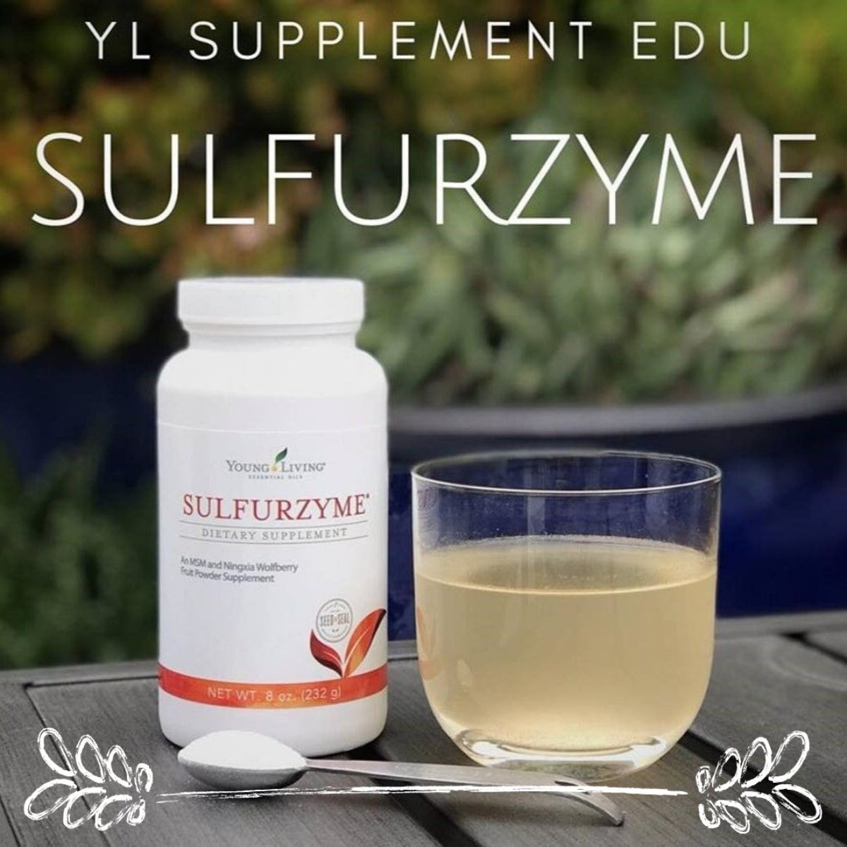 Young Living Sulfurzyme Powder