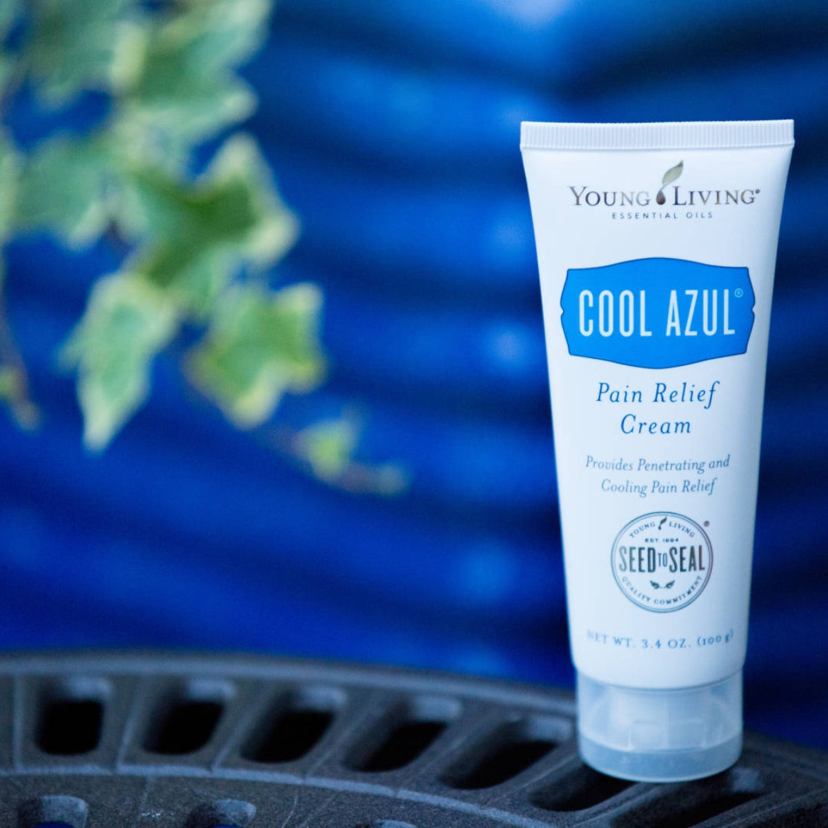 Young Living Cool Azul Pain Relief Cream