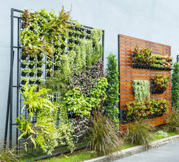 vertical garden