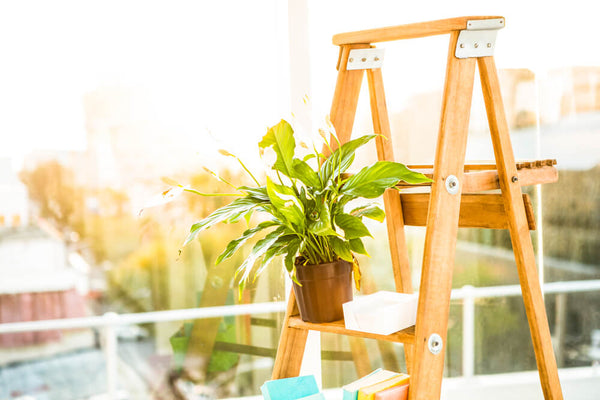 an Old Ladder to Display Anything