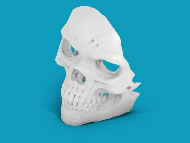 Modello 3D Maschera Teschio