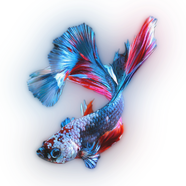 VAVA | 4K UST Laser TV