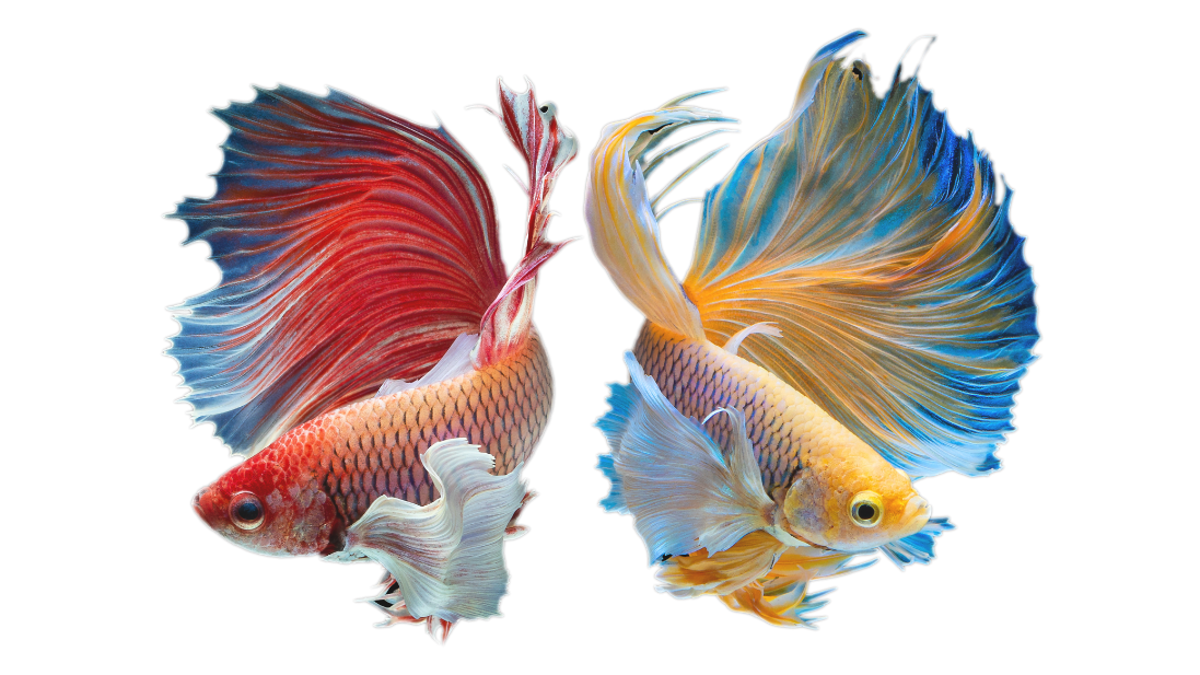 VAVA | 4K UST Laser TV